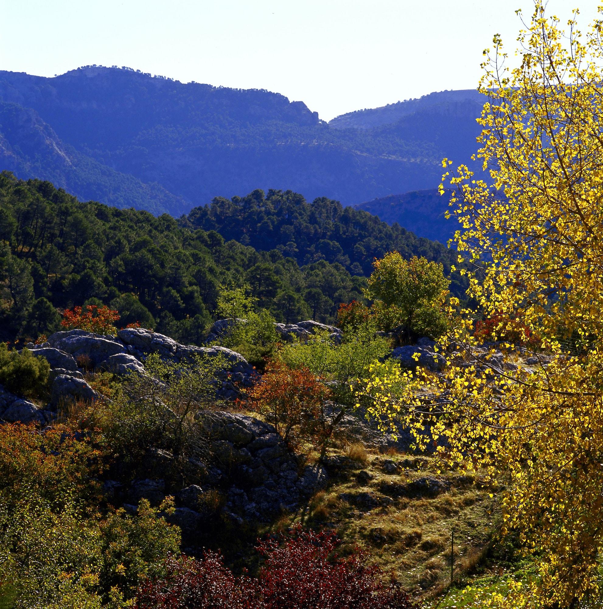 Parador De Cazorla Dış mekan fotoğraf